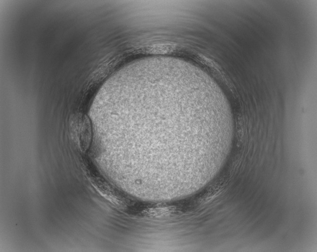 X0000058780307200510171300