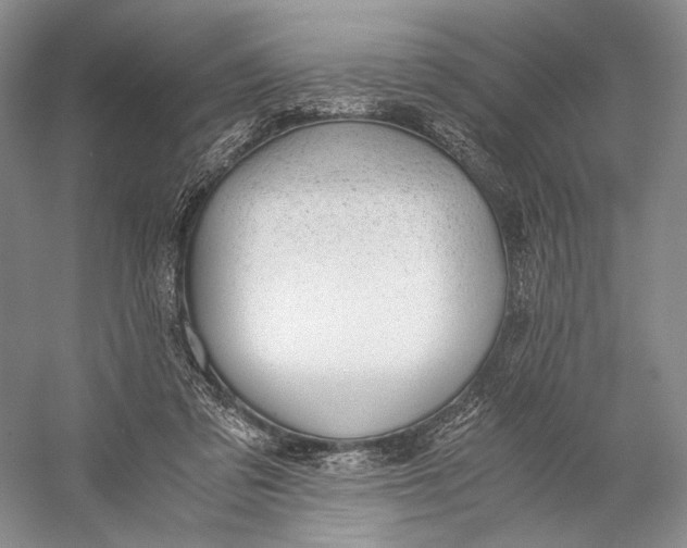 X0000058780309200510171300