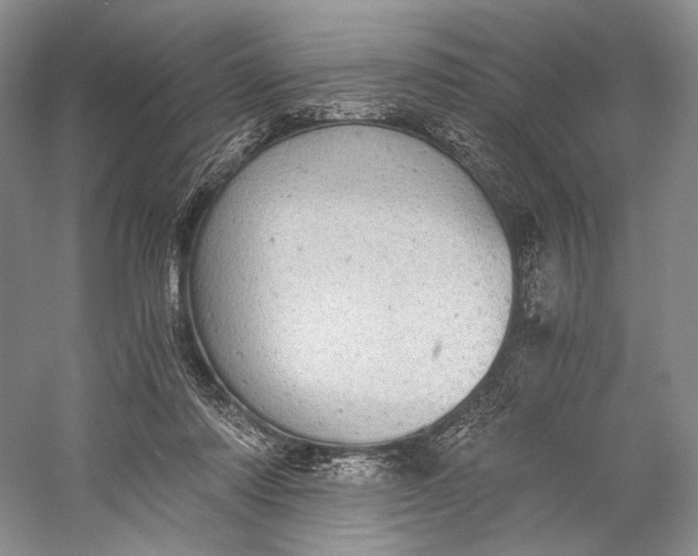 X0000058780310200510171300