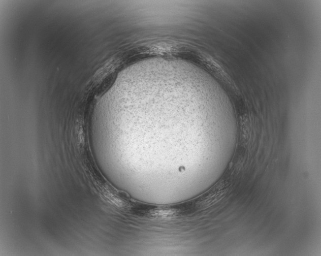 X0000058780313200510171300