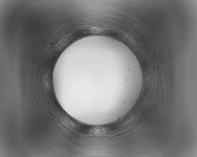 X0000058780317200510171300