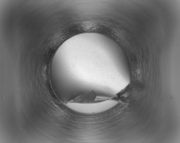 X0000058780319200510171300