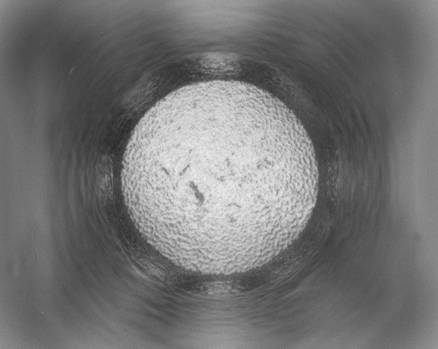 X0000058780320200510171300