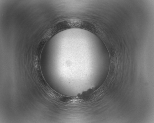 X0000058780323200510171300