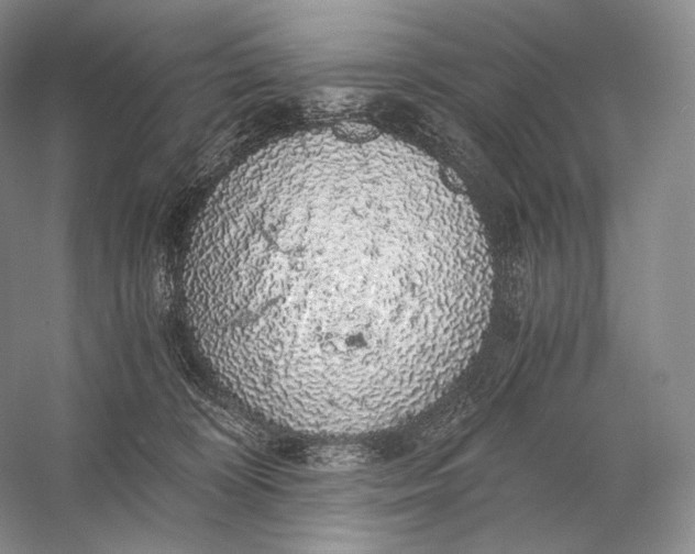 X0000058780324200510171300