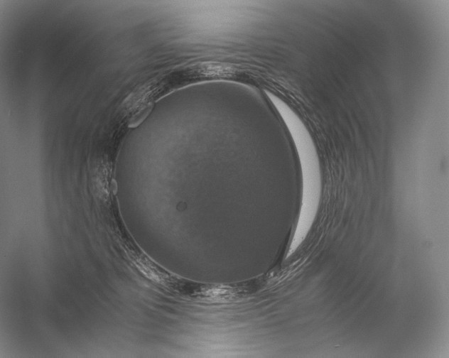 X0000058780325200510171300