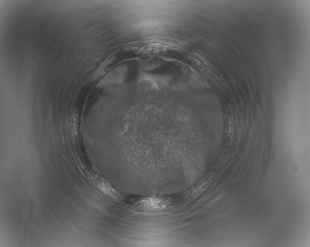 X0000058780326200510171300