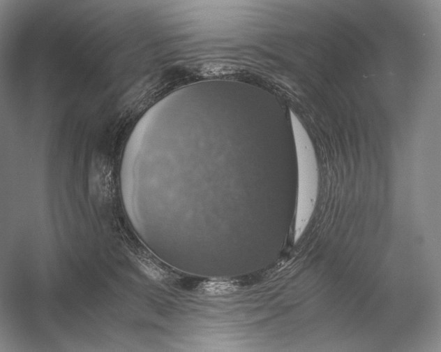 X0000058780327200510171300