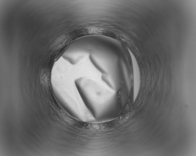 X0000058780329200510171300