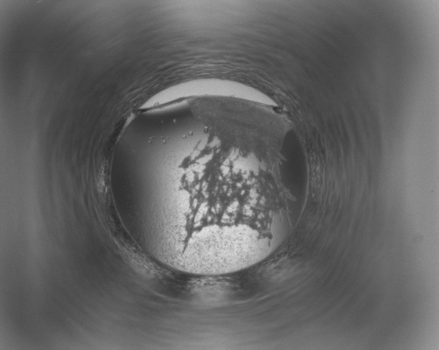 X0000058780331200510171300