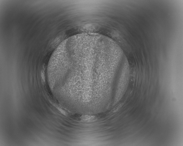 X0000058780334200510171300