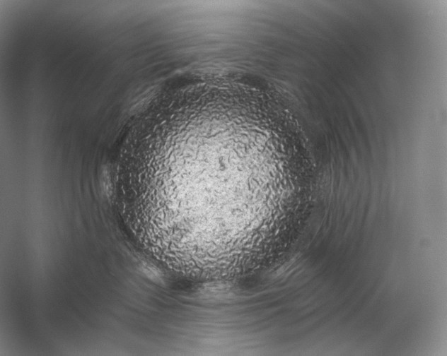 X0000058780335200510171300