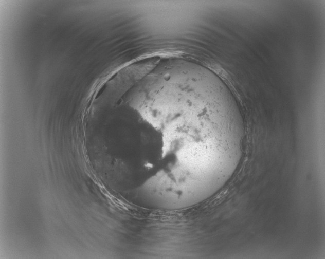 X0000058780337200510171259