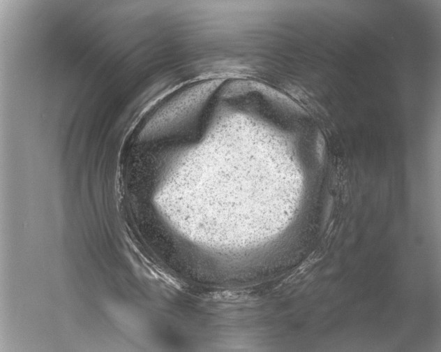 X0000058780338200510171259