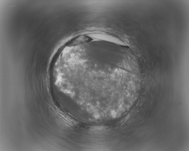 X0000058780342200510171259