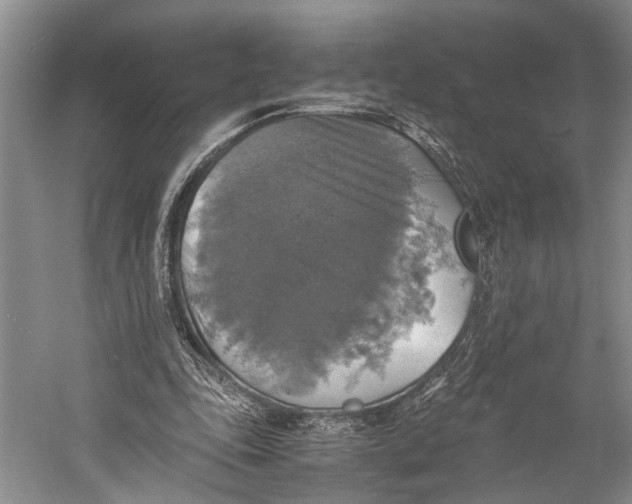 X0000058780343200510171259