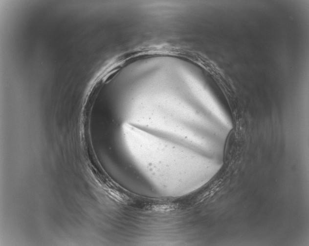 X0000058780344200510171259