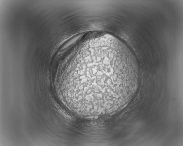 X0000058780345200510171259