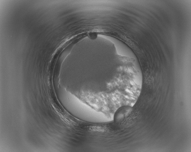 X0000058780347200510171259