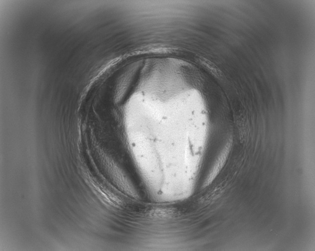 X0000058780350200510171259