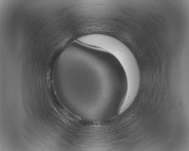 X0000058780360200510171259