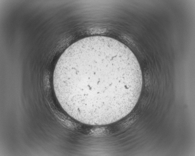 X0000058780362200510171259