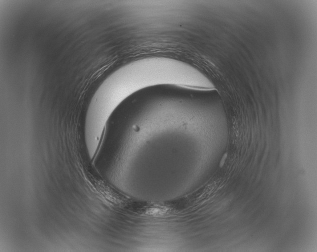 X0000058780364200510171259