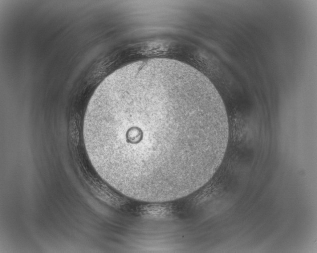 X0000058780370200510171259