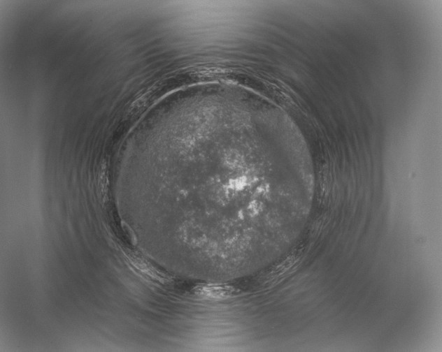 X0000058780372200510171259