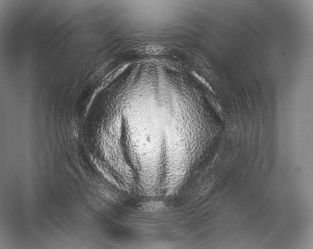 X0000058780374200510171259