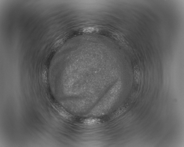 X0000058780375200510171259