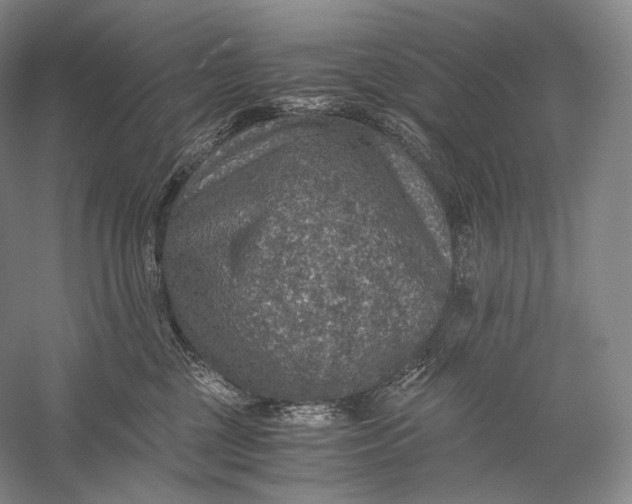 X0000058780377200510171259