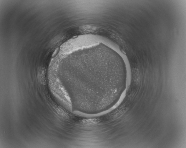 X0000058780378200510171259