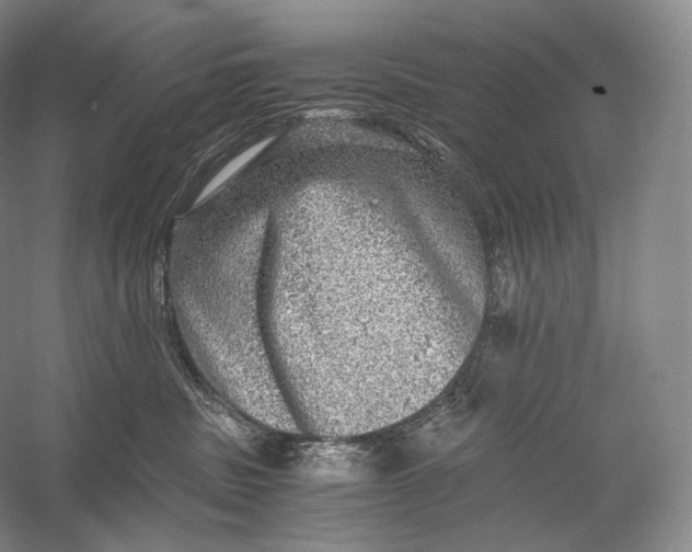 X0000058780379200510171259