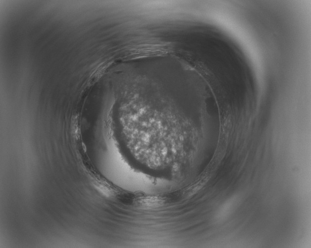 X0000058780383200510171300