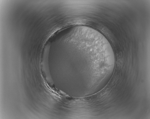 X0000058780386200510171259