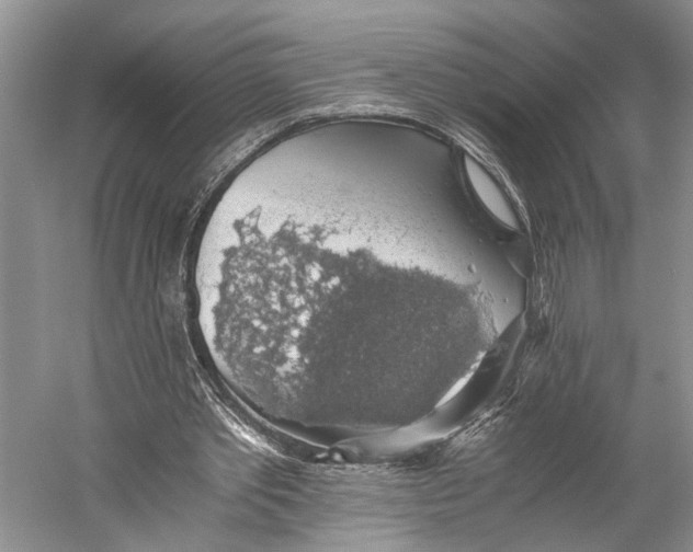 X0000058780389200510171259