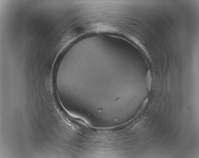 X0000058780391200510171259