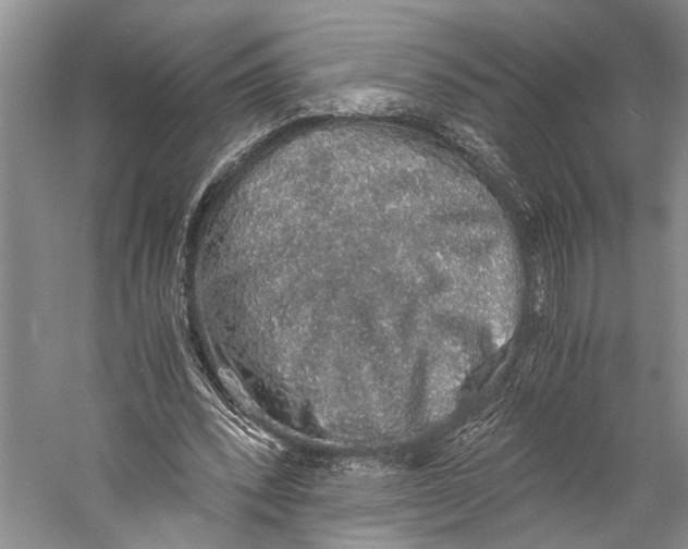 X0000058780392200510171259