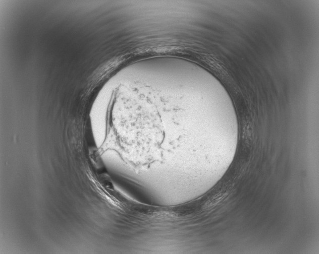 X0000058780397200510171259