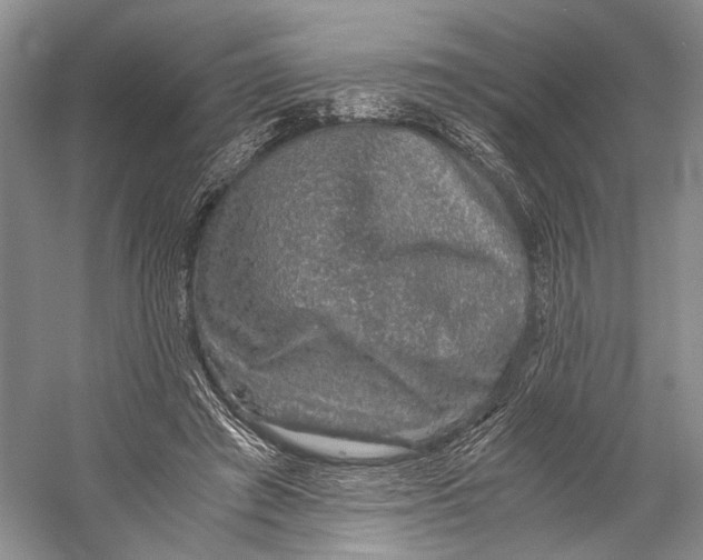 X0000058780401200510171258