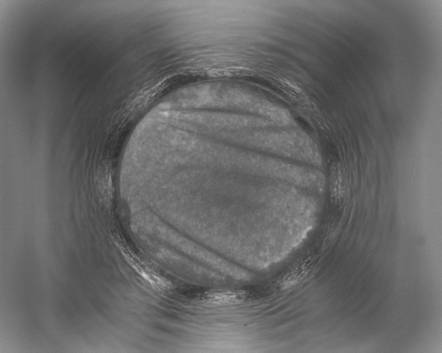 X0000058780405200510171258