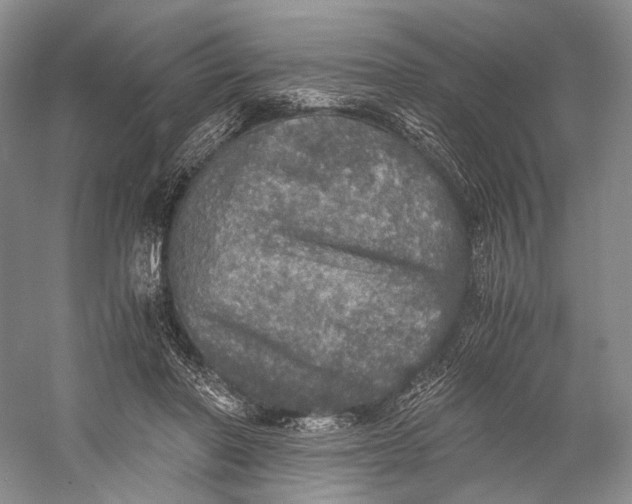 X0000058780406200510171258