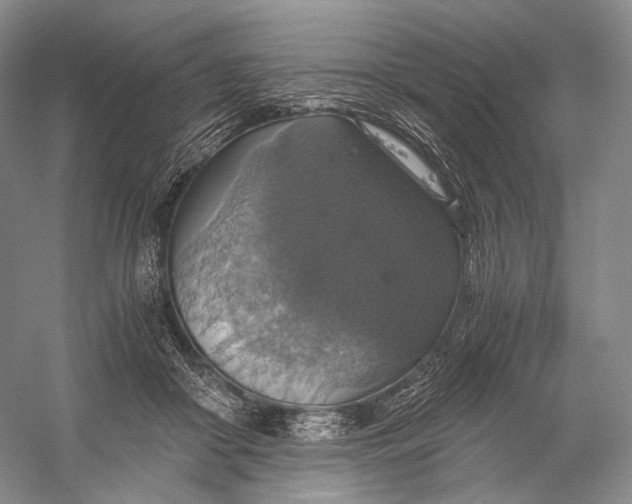 X0000058780410200510171258