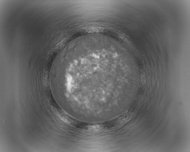 X0000058780411200510171258