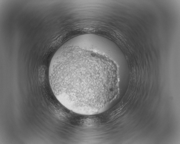 X0000058780412200510171258