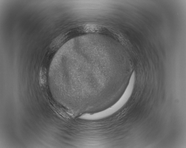 X0000058780413200510171258