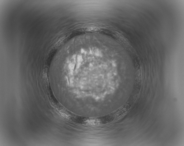 X0000058780415200510171258