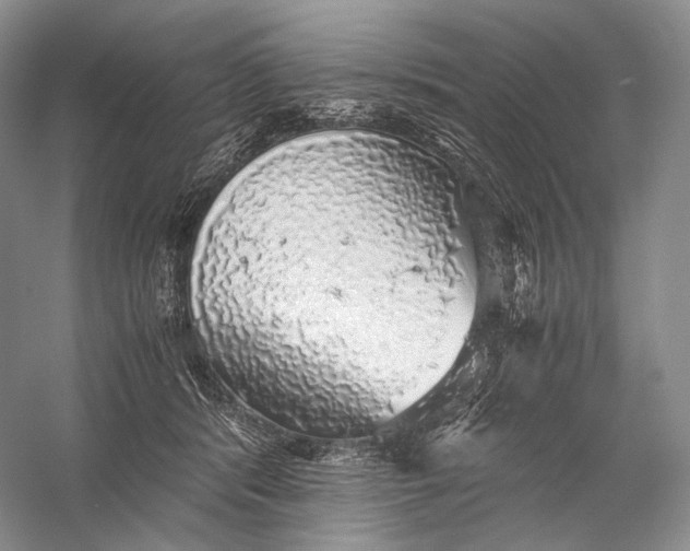 X0000058780416200510171258