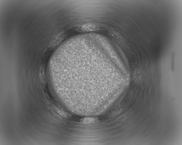 X0000058780418200510171258